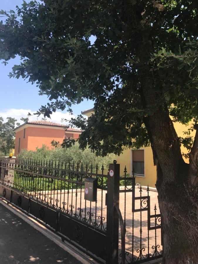 Villa Eva Karigador Novigrad Istria Εξωτερικό φωτογραφία