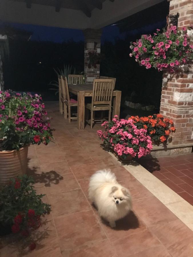 Villa Eva Karigador Novigrad Istria Εξωτερικό φωτογραφία